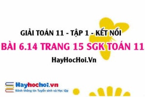 Bài 6.14 trang 15 Toán 11 tập 2 Kết nối tri thức